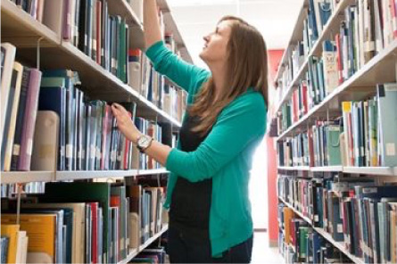 biblioteca Península Nuevo Vallarta